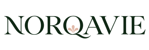 Norqavie transparent logo