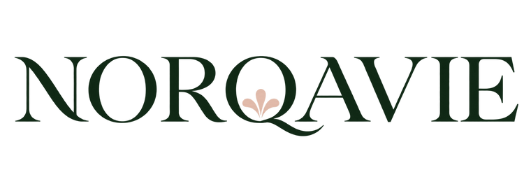 Norqavie transparent logo